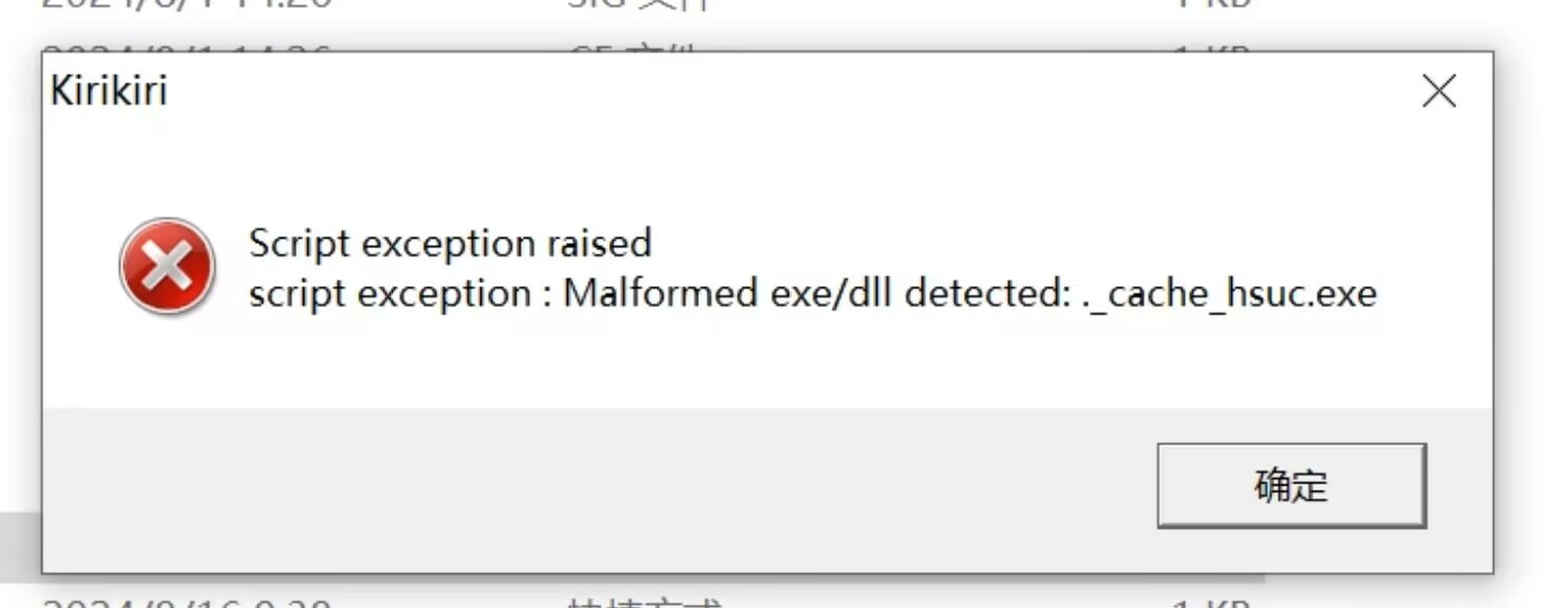 script exception : Malformed exe/dll detected: ._cache_hsuc.exe